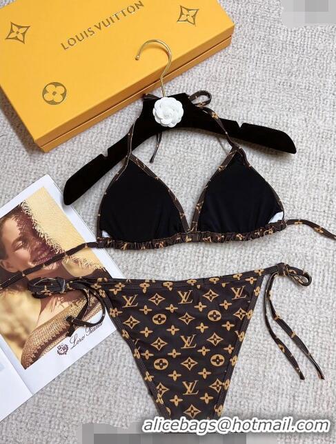 Traditional Specials Louis Vuitton Swimwear 021416 Brown 2023