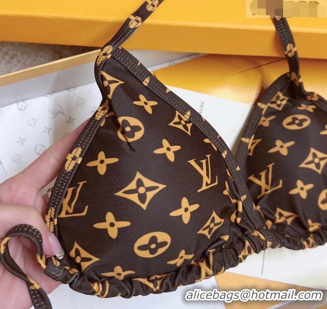 Traditional Specials Louis Vuitton Swimwear 021416 Brown 2023