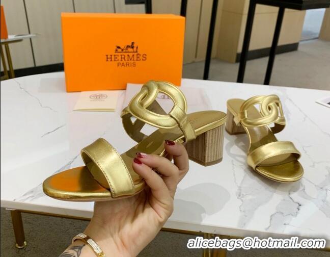 Purchase Hermes Extra Calfskin Heel Sandals 5.5cm Gold 022382