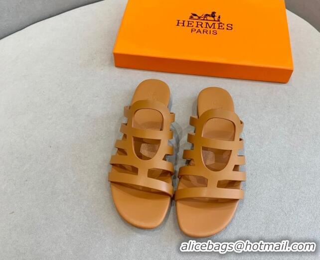 Hot Style Hermes Camelia Flat Sandals in Calfskin Brown 022409