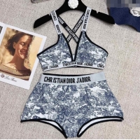 Promotional Dior Toile de Jouy Two Pieces Swimwear 0311 Blue 2023