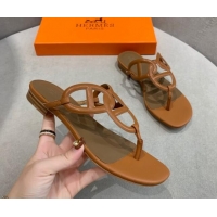 Grade Quality Hermes Egerie Thong Slide Sandals Brown 022393