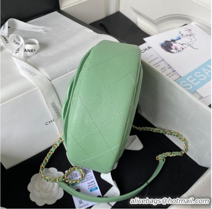 Well Crafted Chanel Shoulder Bag AS3919 green