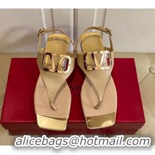 Top Grade Valentino VLogo Calf Leather Flat Thong Sandals Beige 030188