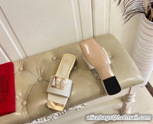 Top Design Valentino VLogo Leather and metal Slide Sandals White 301101