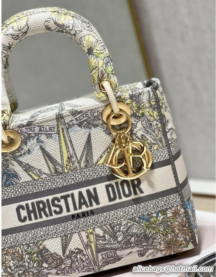 Promotional Dior MEDIUM LADY D-LITE BAG M0565OR GRAY