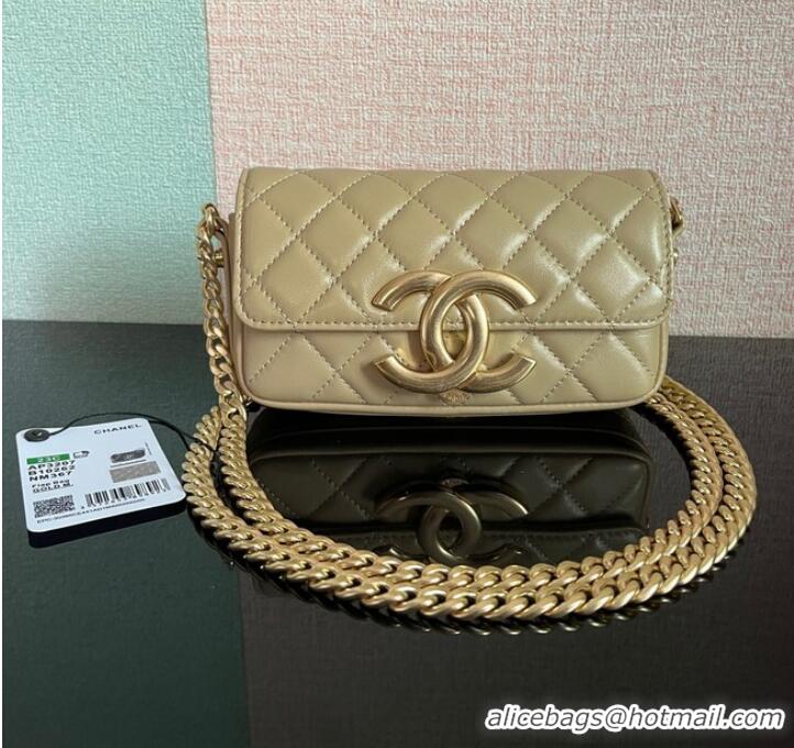 Low Cost Chanel MINI FLAP BAG Lambskin & Gold-Tone Metal AS3207 khaki