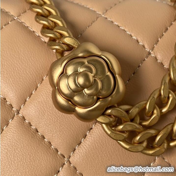 Well Crafted Chanel MINI FLAP BAG AS4040 apricot