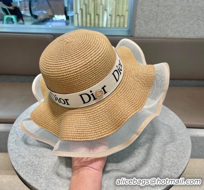 Top Quality Dior Straw Hat D22716 Brown 2023