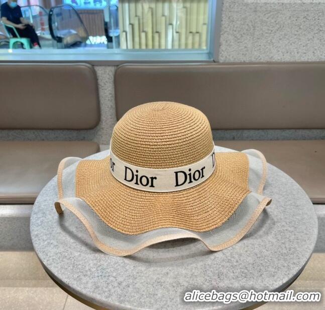 Top Quality Dior Straw Hat D22716 Brown 2023