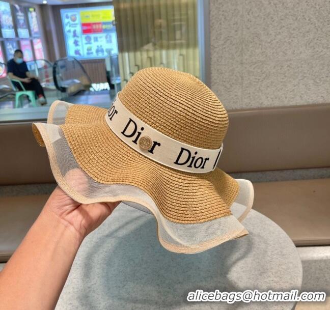 Top Quality Dior Straw Hat D22716 Brown 2023