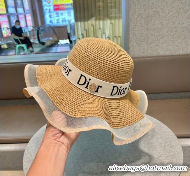 Top Quality Dior Straw Hat D22716 Brown 2023