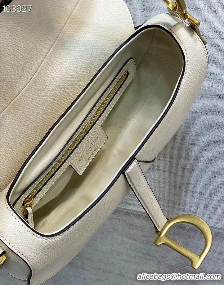 Top Quality Dior SADDLE BAG WITH STRAP Latte Grained Calfskin M0455CBA