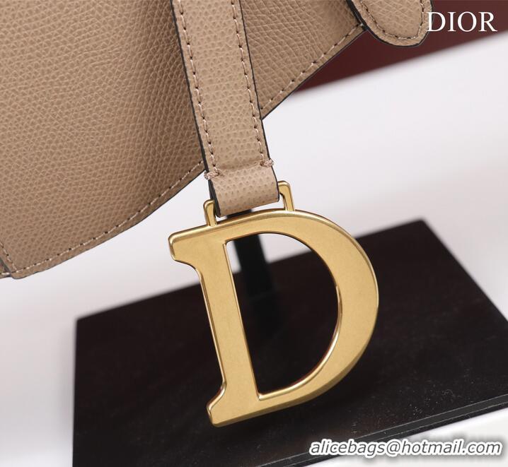 Top Quality DIOR SADDLE BAG WITH STRAP Sand Pink Grained Calfskin M0455CBA