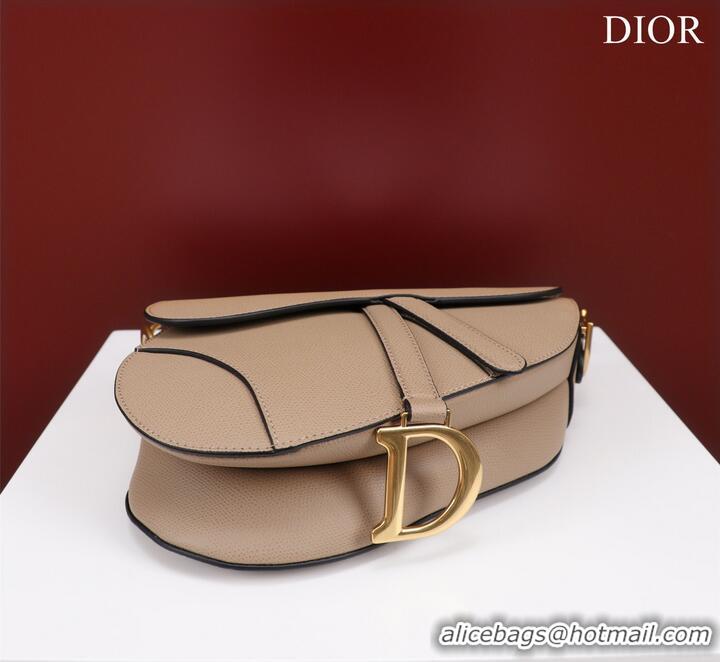 Top Quality DIOR SADDLE BAG WITH STRAP Sand Pink Grained Calfskin M0455CBA