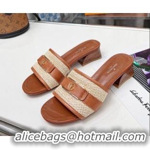 Most Popular Louis Vuitton Sienna Heel Slide Sandals 4cm in Raffia and Leather Brown 022453