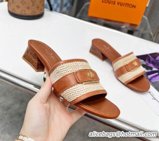 Most Popular Louis Vuitton Sienna Heel Slide Sandals 4cm in Raffia and Leather Brown 022453