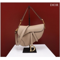 Top Quality DIOR SADDLE BAG WITH STRAP Sand Pink Grained Calfskin M0455CBA