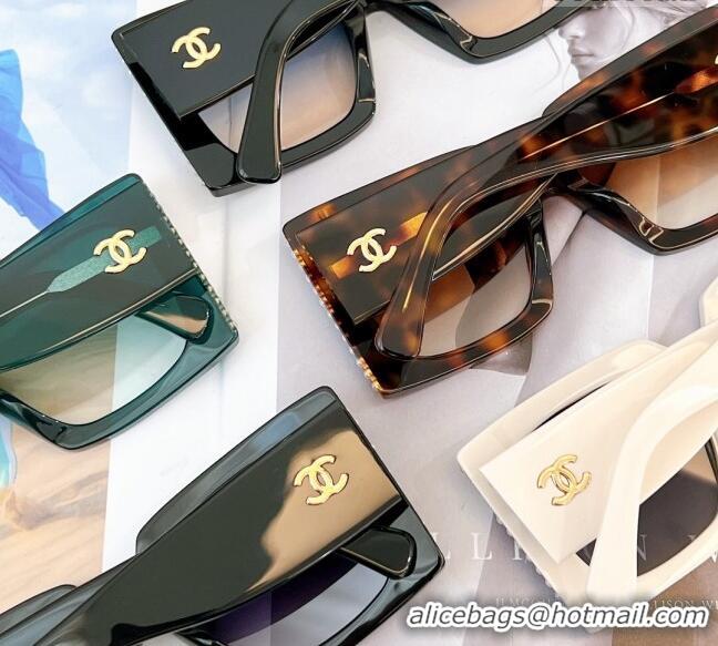 Most Popular Chanel Sunglasses 5480H 2023