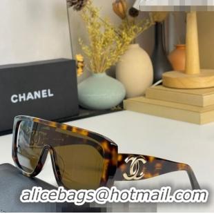 Traditional Specials Chanel Sunglasses CH5495 2023