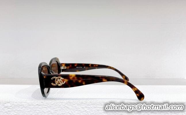 Most Popular Chanel Sunglasses CH8013 2023