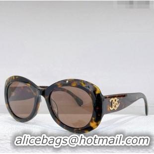 Popular Style Chanel Sunglasses CH8002 2023