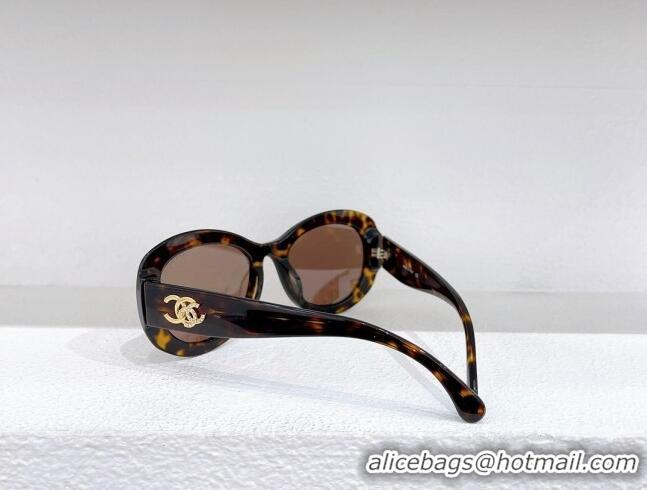 Popular Style Chanel Sunglasses CH8002 2023