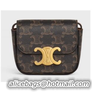 Super Quality Celine MINI TRIOMPHE IN TRIOMPHE CANVAS AND CALFSKIN 10I512 TAN