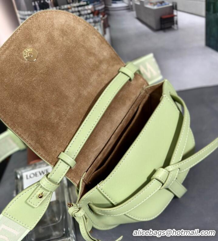 Most Popular Loewe small Crossbody Bags Original Leather 55662 light green