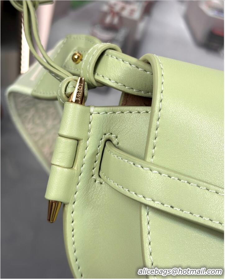 Most Popular Loewe small Crossbody Bags Original Leather 55662 light green