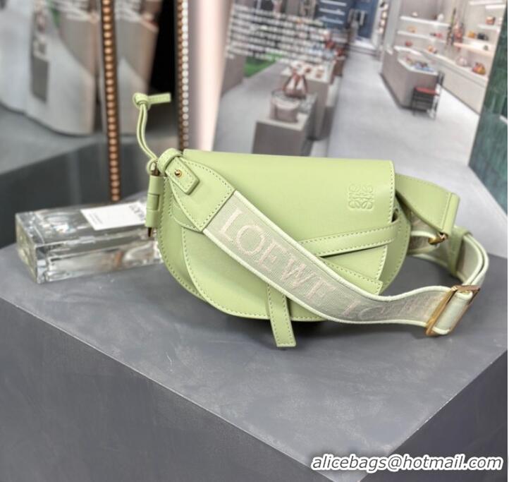 Most Popular Loewe small Crossbody Bags Original Leather 55662 light green