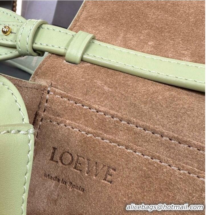 Most Popular Loewe small Crossbody Bags Original Leather 55662 light green