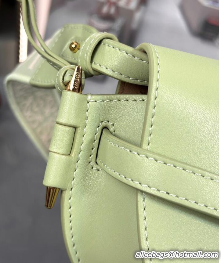 Most Popular Loewe small Crossbody Bags Original Leather 55662 light green