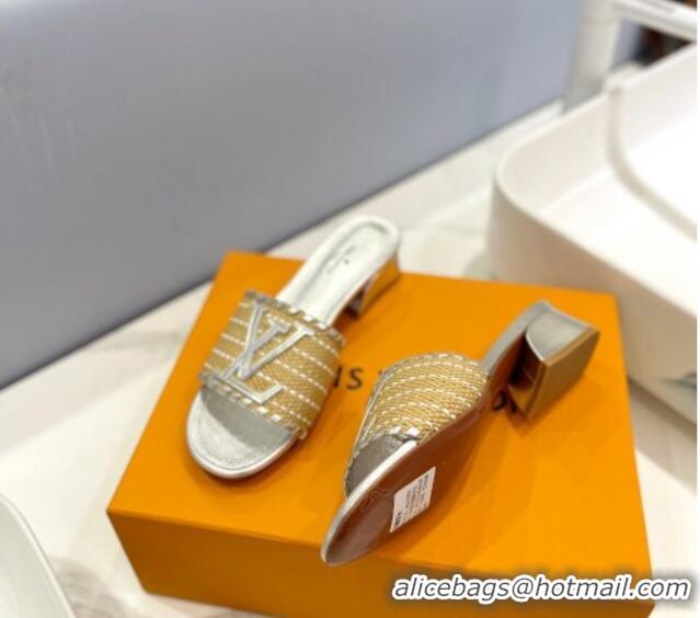 Grade Quality Louis Vuitton Starboard Heel Slide Sandal 4cm in LV Raffia and Leather Silver 427110