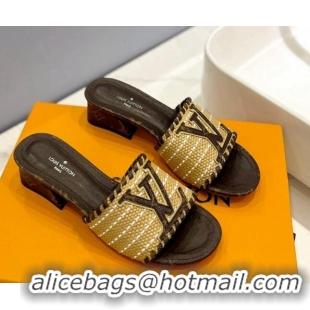 Most Popular Louis Vuitton Starboard Heel Slide Sandal 4cm in LV Raffia and Monogram Canvas 427111