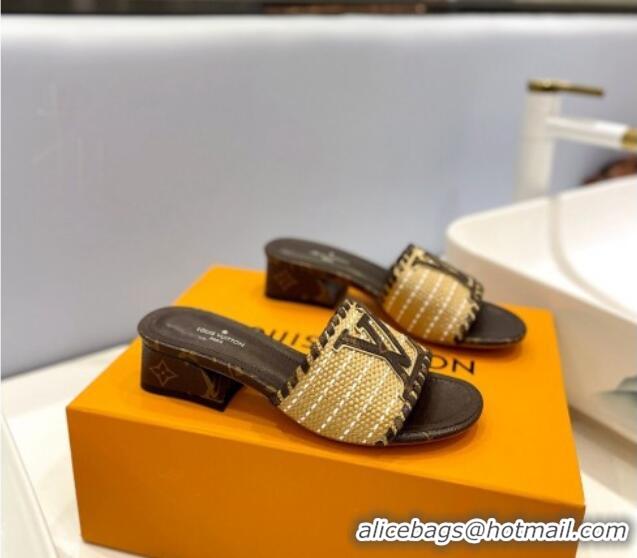 Most Popular Louis Vuitton Starboard Heel Slide Sandal 4cm in LV Raffia and Monogram Canvas 427111