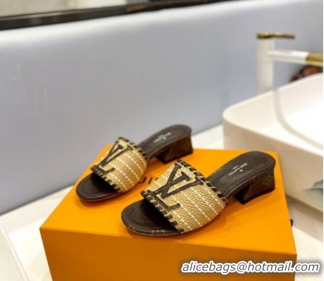 Most Popular Louis Vuitton Starboard Heel Slide Sandal 4cm in LV Raffia and Monogram Canvas 427111