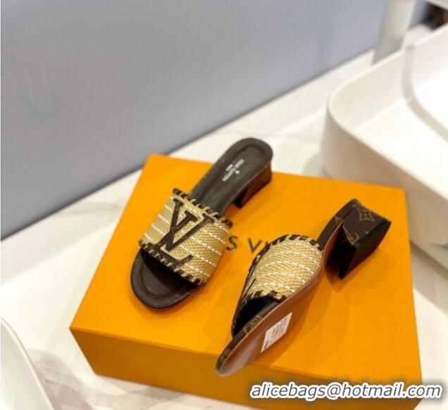 Most Popular Louis Vuitton Starboard Heel Slide Sandal 4cm in LV Raffia and Monogram Canvas 427111