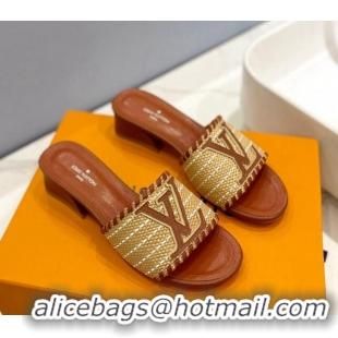 Best Price Louis Vuitton Starboard Heel Slide Sandal 4cm in LV Raffia and Leather Brown 427112