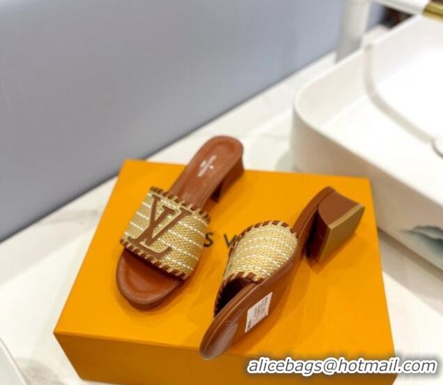 Best Price Louis Vuitton Starboard Heel Slide Sandal 4cm in LV Raffia and Leather Brown 427112