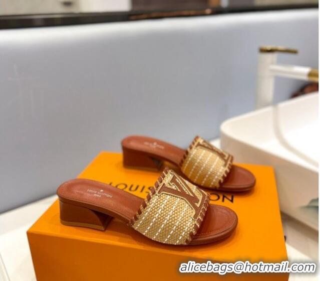 Best Price Louis Vuitton Starboard Heel Slide Sandal 4cm in LV Raffia and Leather Brown 427112