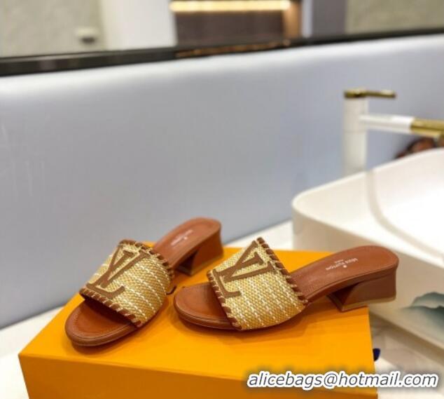 Best Price Louis Vuitton Starboard Heel Slide Sandal 4cm in LV Raffia and Leather Brown 427112