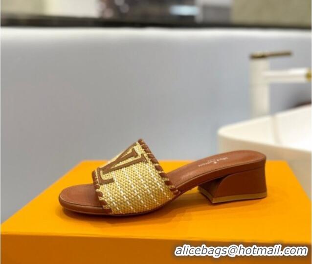 Best Price Louis Vuitton Starboard Heel Slide Sandal 4cm in LV Raffia and Leather Brown 427112