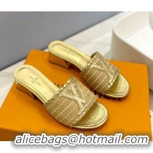 Good Product Louis Vuitton Starboard Heel Slide Sandal 4cm in LV Raffia and Leather Gold 427113