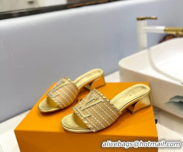 Good Product Louis Vuitton Starboard Heel Slide Sandal 4cm in LV Raffia and Leather Gold 427113