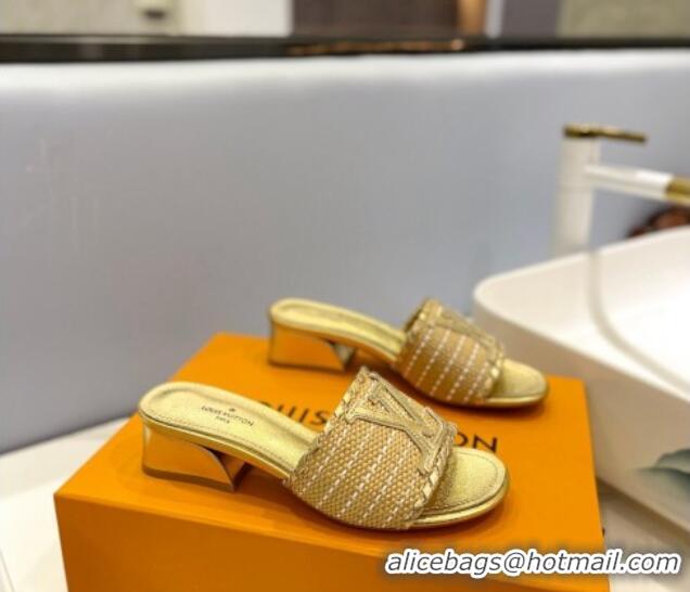 Good Product Louis Vuitton Starboard Heel Slide Sandal 4cm in LV Raffia and Leather Gold 427113