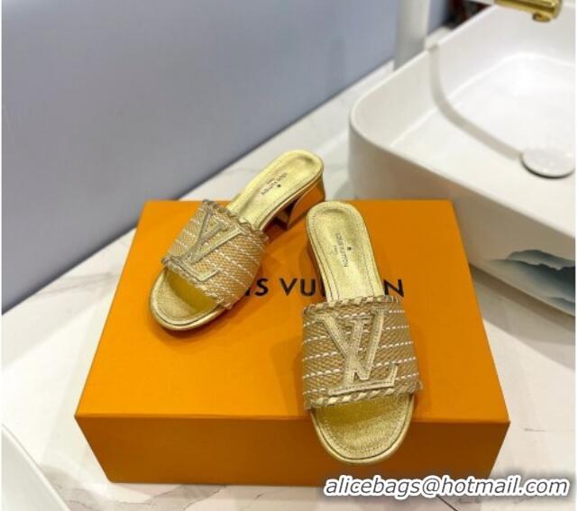 Good Product Louis Vuitton Starboard Heel Slide Sandal 4cm in LV Raffia and Leather Gold 427113