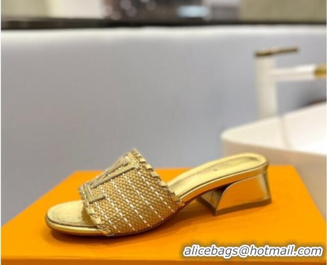 Good Product Louis Vuitton Starboard Heel Slide Sandal 4cm in LV Raffia and Leather Gold 427113