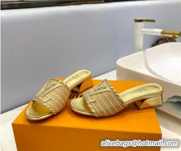 Good Product Louis Vuitton Starboard Heel Slide Sandal 4cm in LV Raffia and Leather Gold 427113