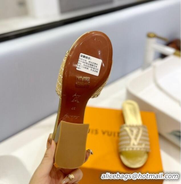 Good Product Louis Vuitton Starboard Heel Slide Sandal 4cm in LV Raffia and Leather Gold 427113